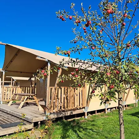 De Hazelaarshof Luxe Glampingtent Bij Natuurgebied De Millingerwaard Luxury tent *