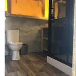 De Hazelaarshof Luxe Glampingtent Bij Natuurgebied De Millingerwaard Luxe tent *