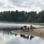 Luxe tent De Hazelaarshof Luxe Glampingtent Bij Natuurgebied De Millingerwaard Kekerdom