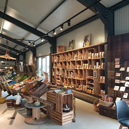 De Hazelaarshof Luxe Glampingtent Bij Natuurgebied De Millingerwaard Lyxtält