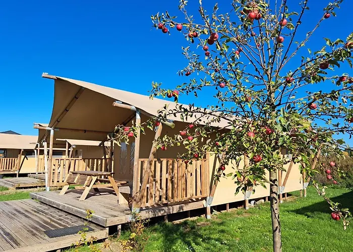 De Hazelaarshof Luxe Glampingtent Bij Natuurgebied De Millingerwaard Lyxtält *